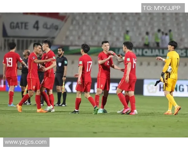 南京足球队在世界杯预选赛中的战术分析与表现评估